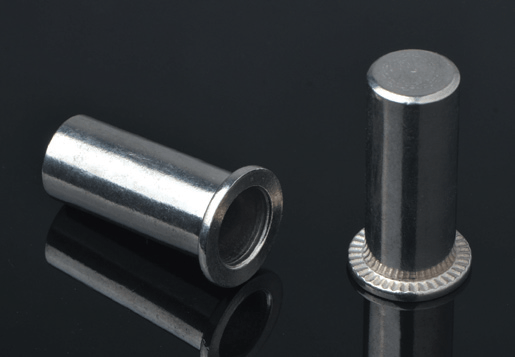 Aço inoxidável de cabeça plana redonda do corpo de rebite liso Tipo de extremidade fechada